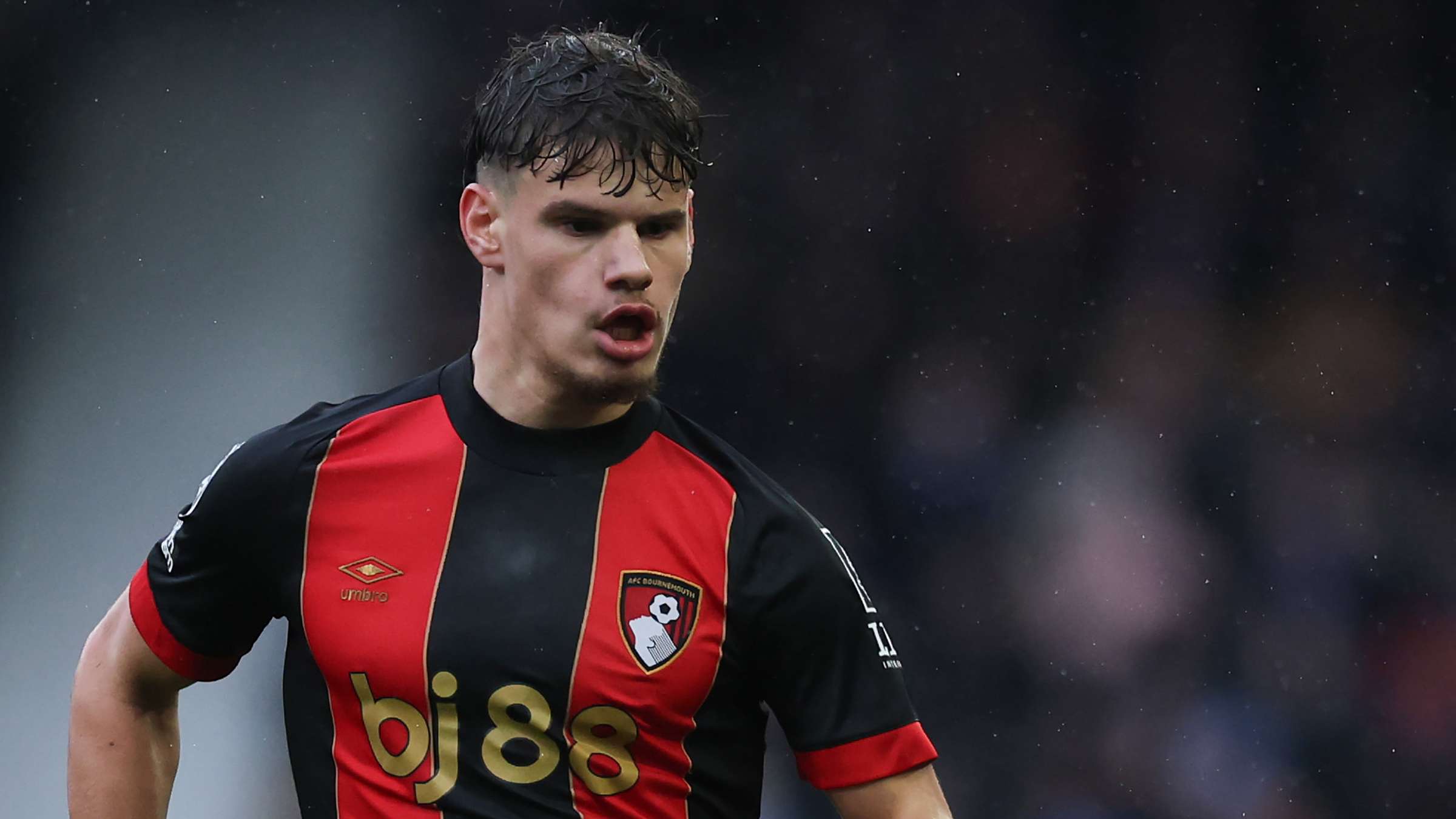 忘的重要比 忘的重要比